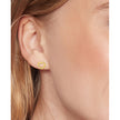 Women Gold Earring
