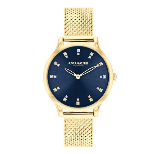 Chels Women Blue Quartz/Analog Watch