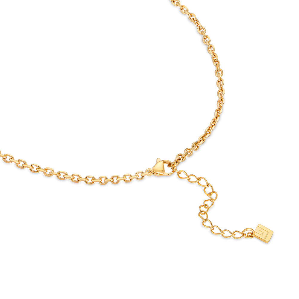 Ambre Gold Plated Necklace