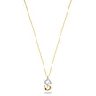 Women Two Tone Necklace
