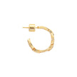 Women Gold Earring