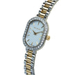 Women Two Tone Watch