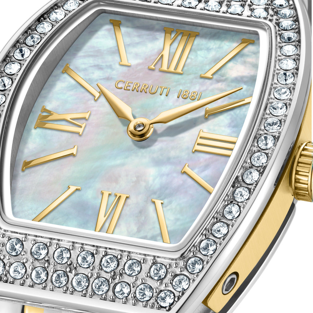 Women Contemporary Silver / Gold Watch