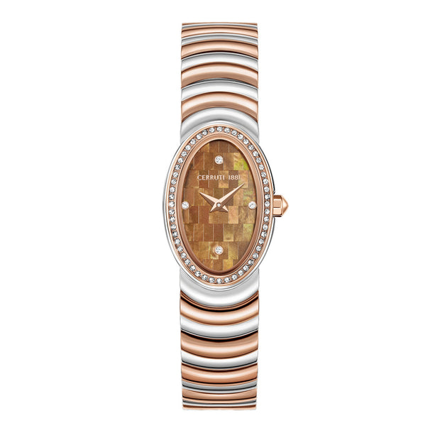 Women Norcia Brown Watch