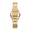 Women Chambers Glitz Gold Watch