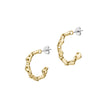 Women Sentimental Gold Earring