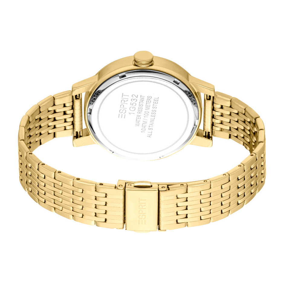Men Benjamin Golden Watch