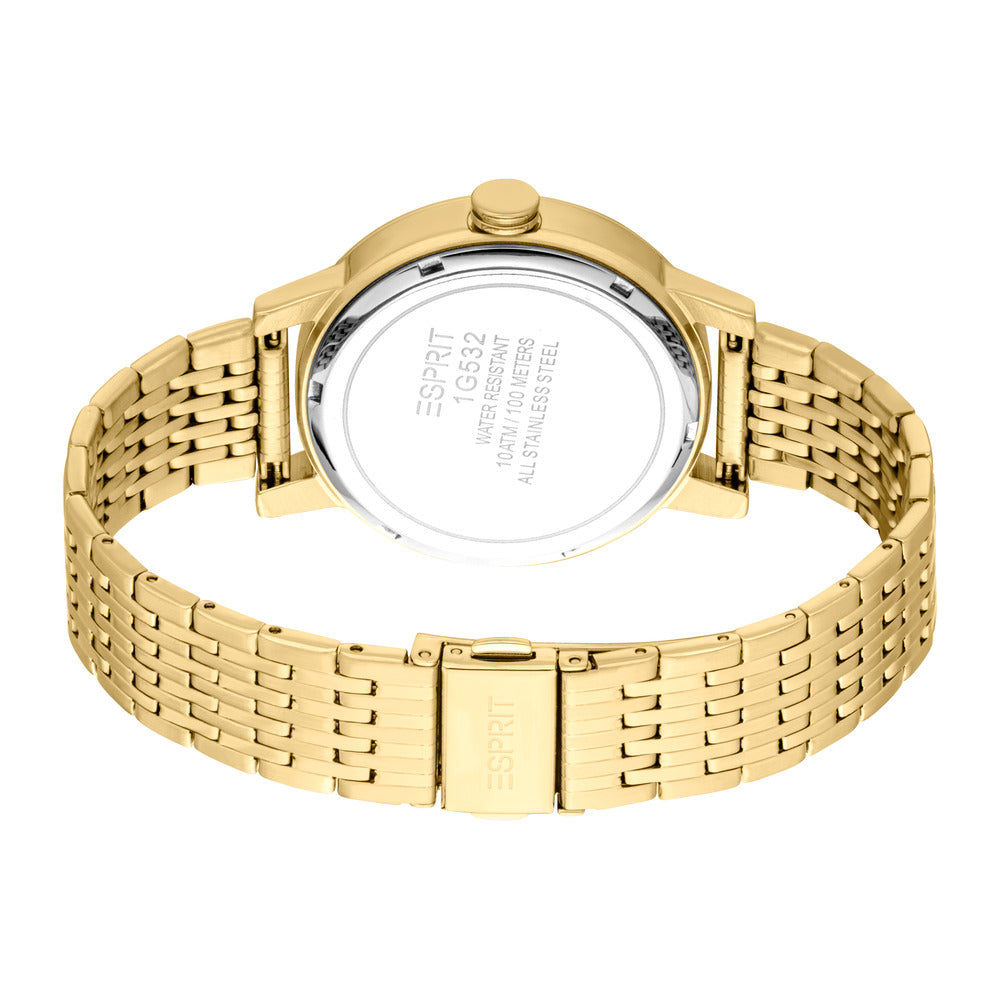 Men Benjamin Golden Watch