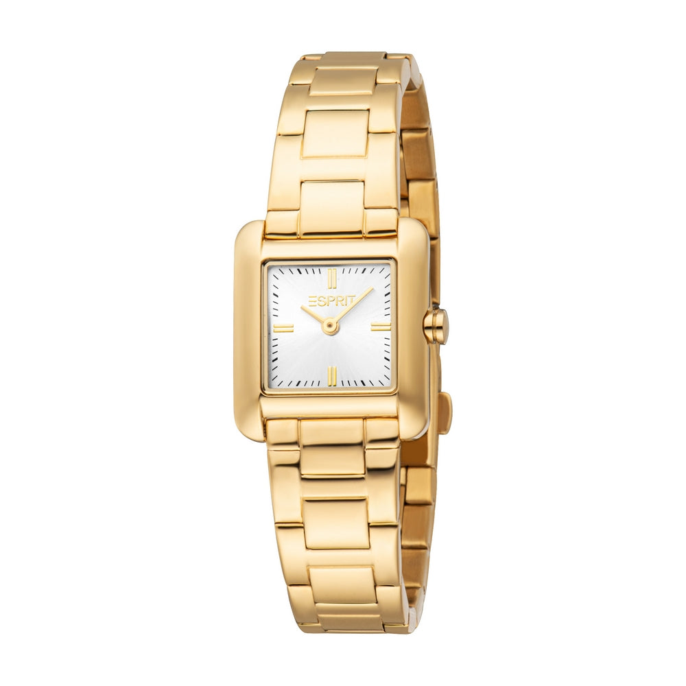 Women Hazel Gold Watch Set