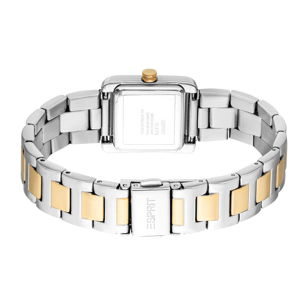 Women Hazel Two Tone Watch Set