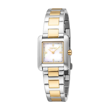 Women Hazel Two Tone Watch Set