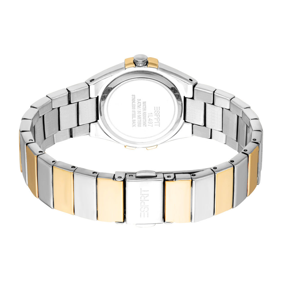 Women Abigail Two Tone Watch