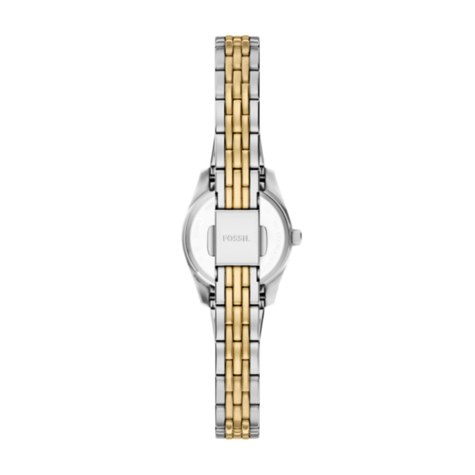 Women Scarlette Watch