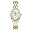 Women Two Tone Watch