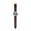 Men Neutra Brown Watch