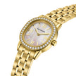 Men Amber Watch