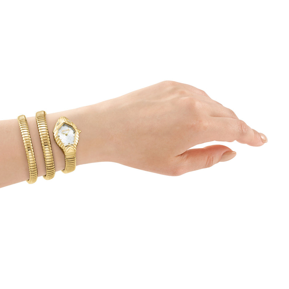Women Sintonia Watch