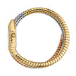 Women Sintonia Watch