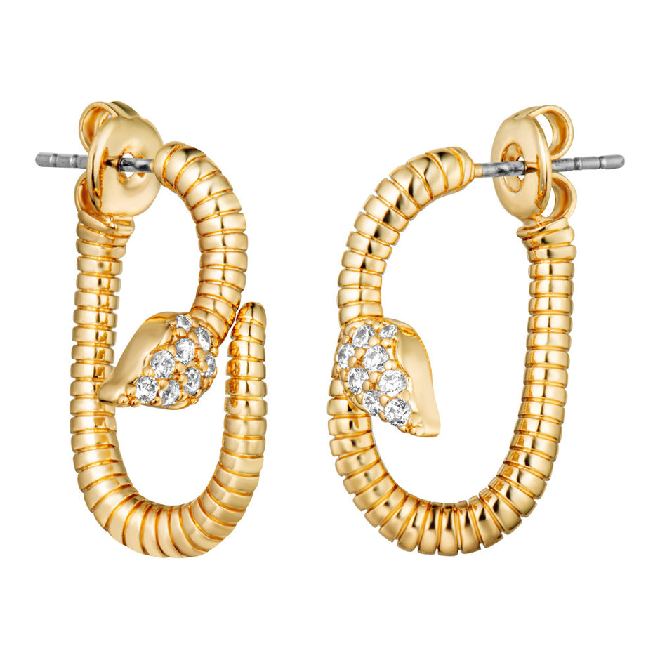 Women Earring