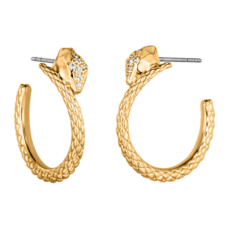 Women Earrings