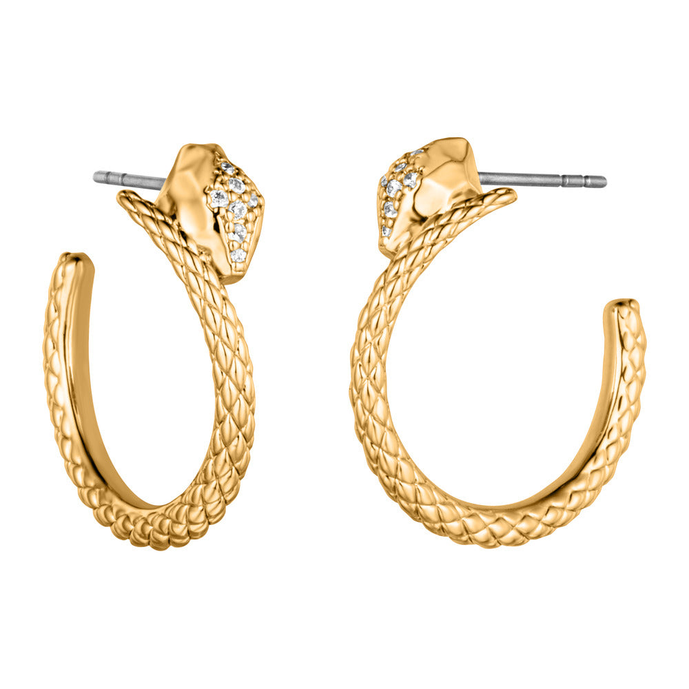 Women Earrings