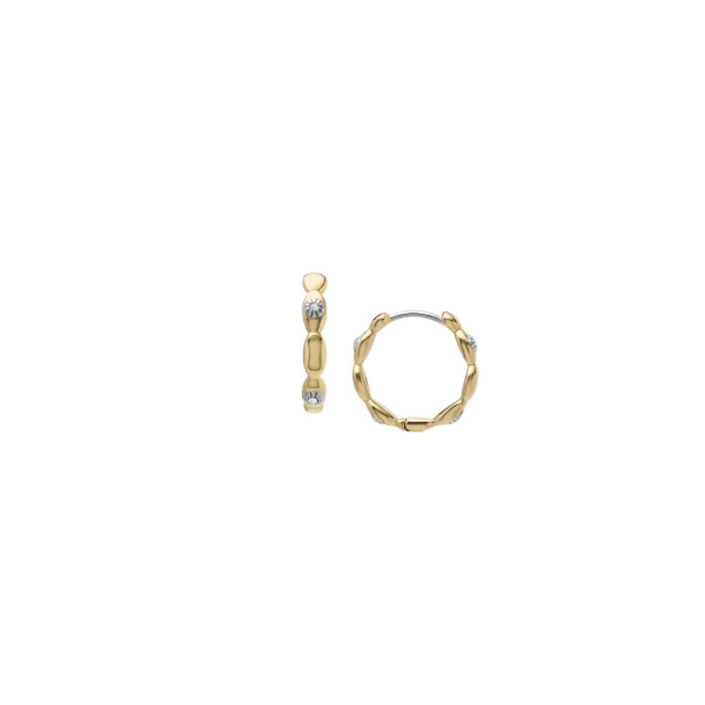 Women Sutton Gold Earring