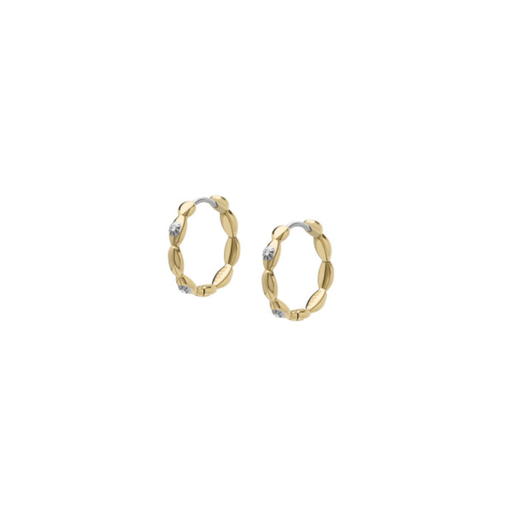 Women Sutton Gold Earring