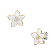 Women Sutton Earring