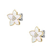 Women Sutton Earring