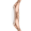 Women Harlowe Watch