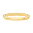 Women Premium Bangle