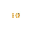 Women Premium Earring