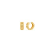 Women Premium Earring