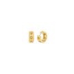 Women Premium Earring