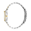 Women Bellina Watch