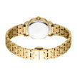 Women Armonia Golden Watch Set