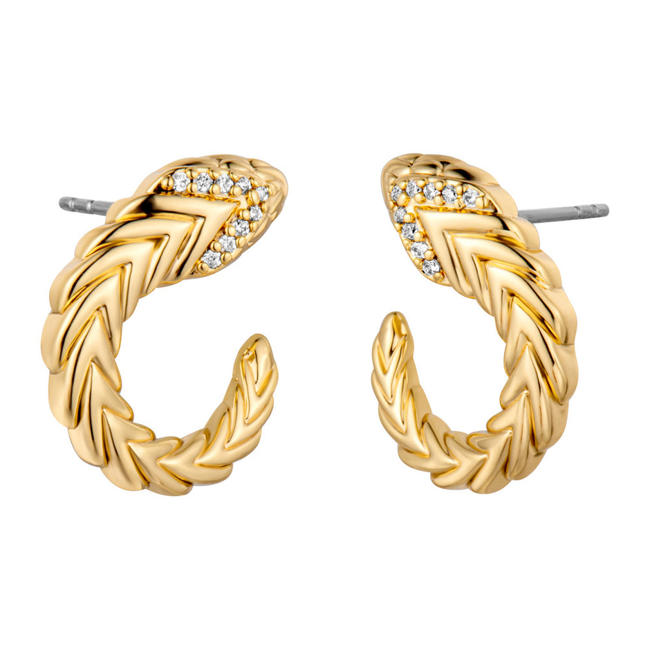 Women Earring