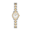 Women The Miller Round Small Watch