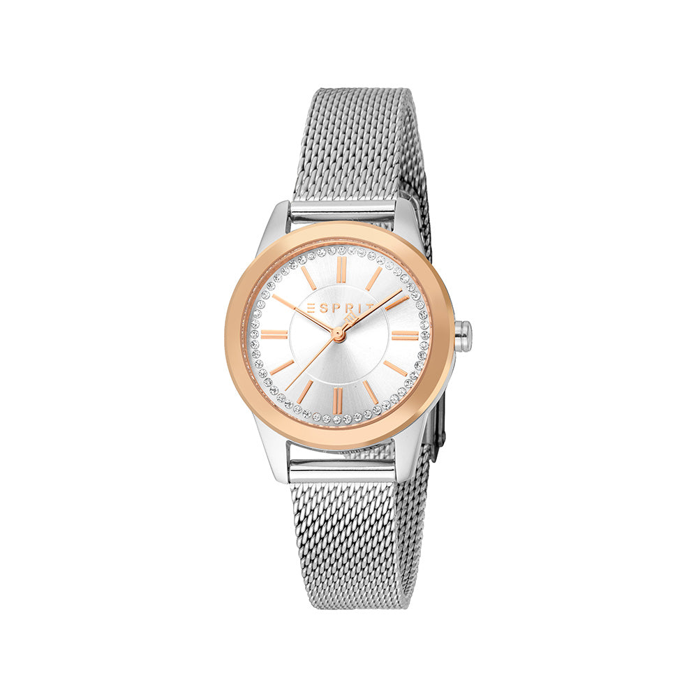 Florentine Women Silver Stainless Steel Watch - 4894626209284