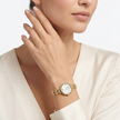 Women Iris Watch